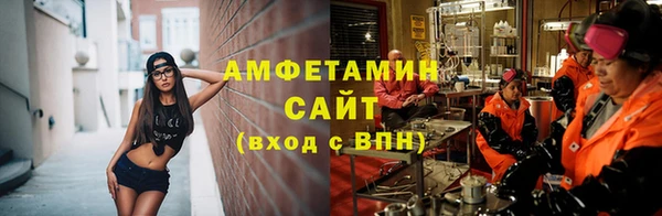 СК Пересвет