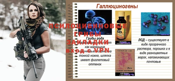 синтетический гашиш Алексин