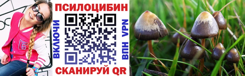 Псилоцибиновые грибы MAGIC MUSHROOMS  купить закладку  Сухиничи 